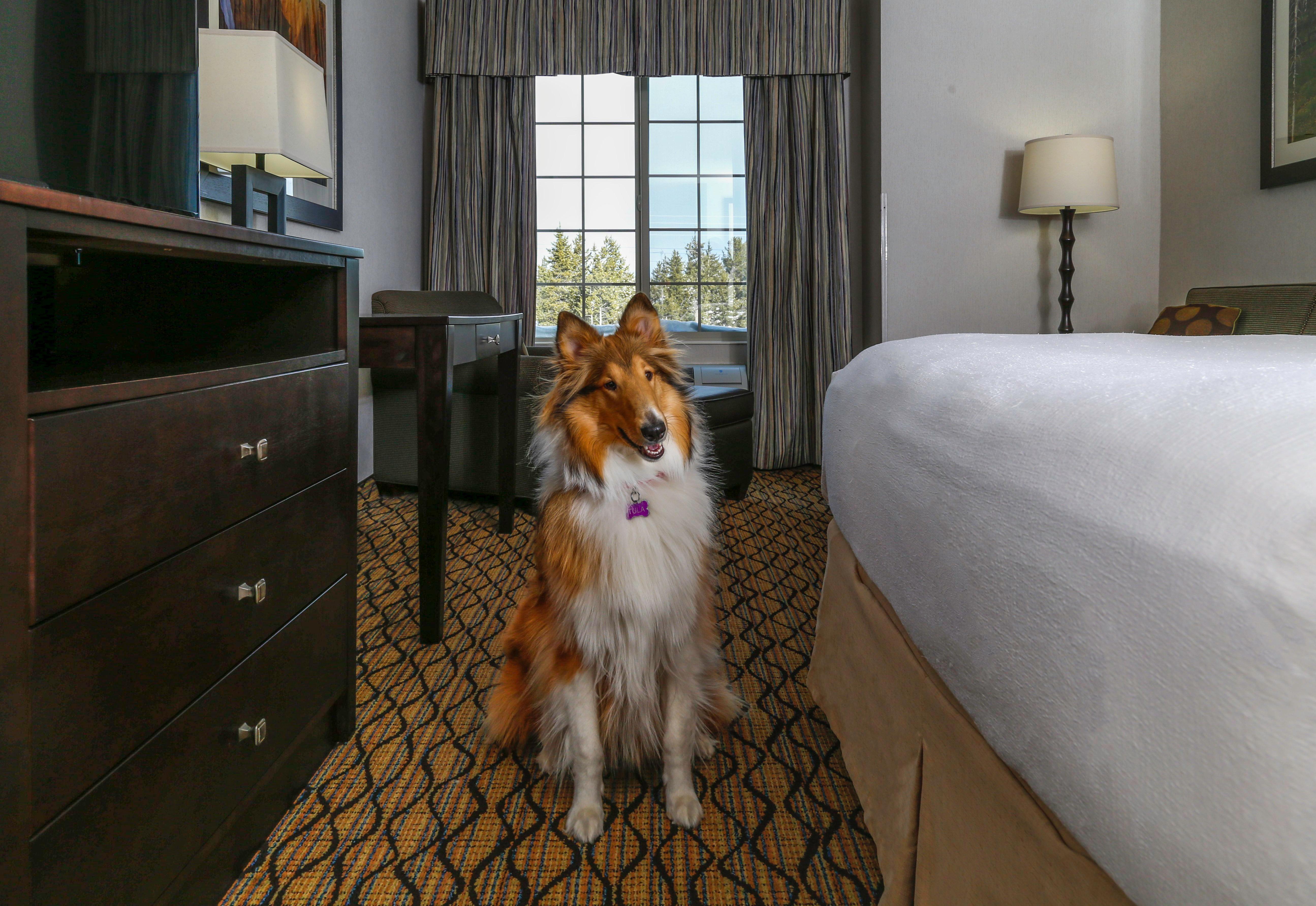 Holiday Inn West Yellowstone By Ihg Экстерьер фото